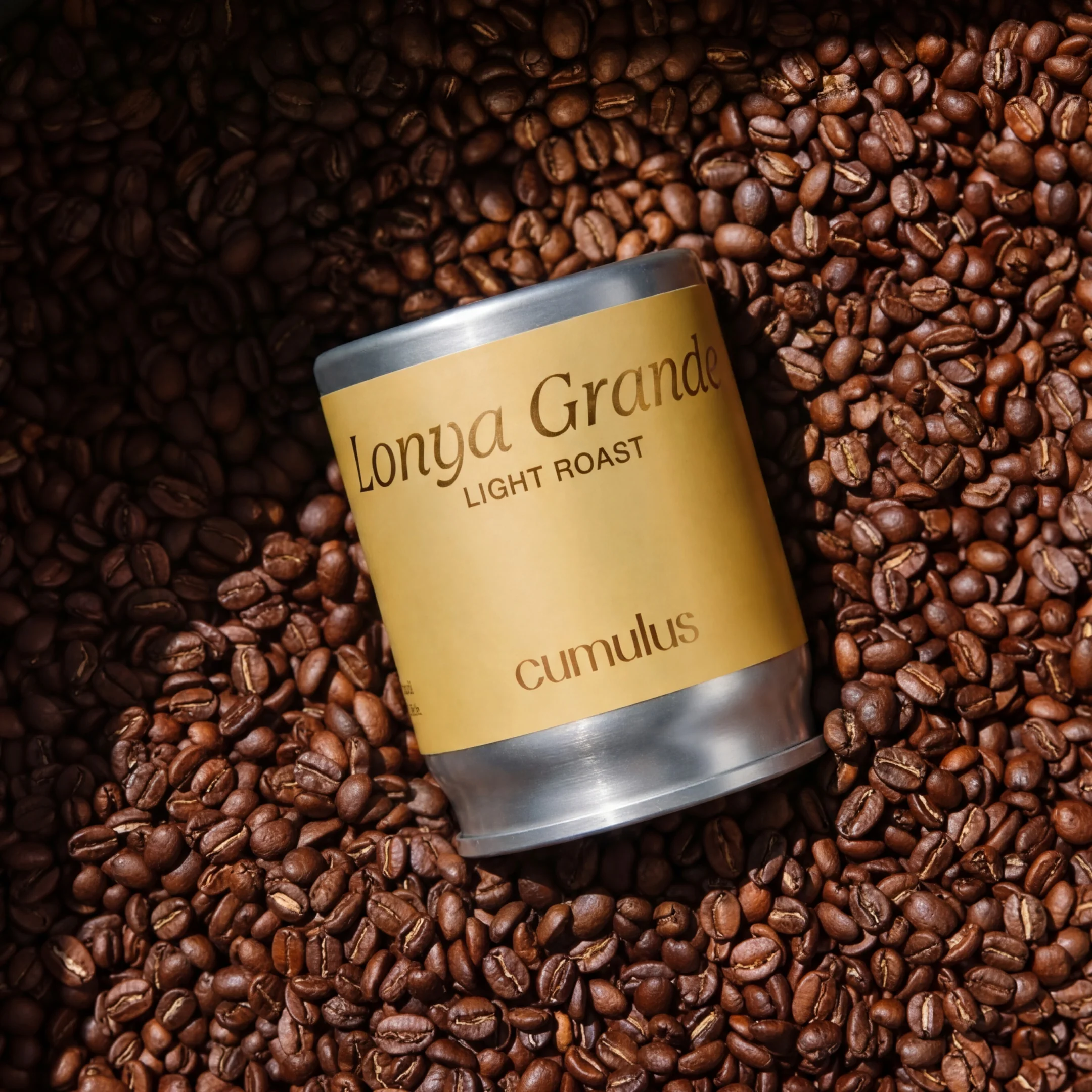 Gilded 003: Lonya Grande - Image 4